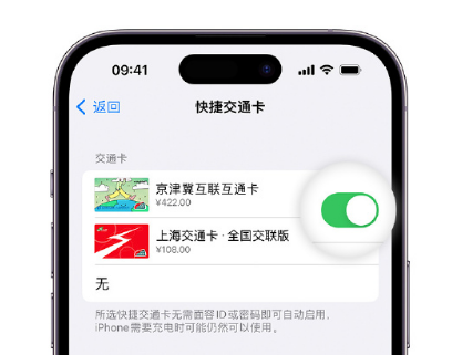 安宁apple维修点分享iPhone上更换Apple Pay快捷交通卡手绘卡面 