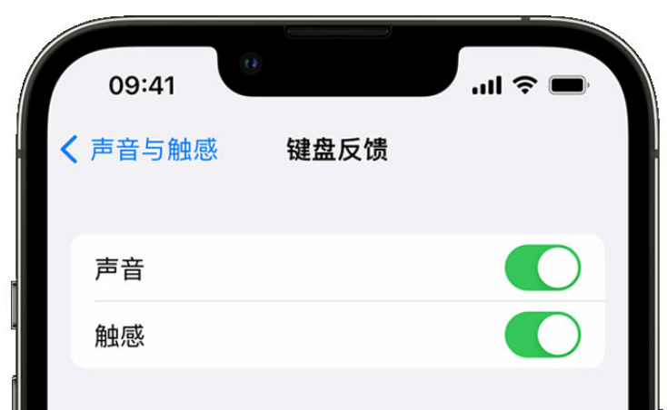 安宁苹果手机维修分享iPhone 14触感键盘使用方法 