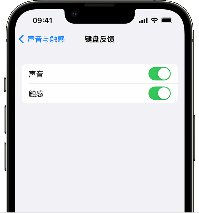 安宁苹果14维修店分享如何在 iPhone 14 机型中使用触感键盘 