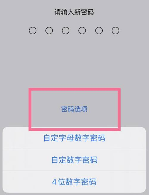 安宁苹果14维修分享iPhone 14plus设置密码的方法 